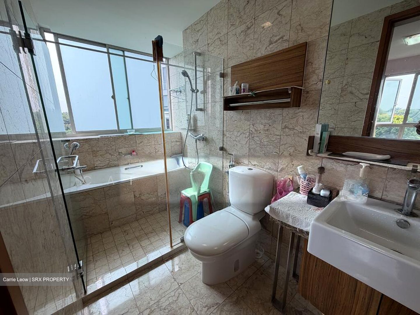 Gardenvista (D21), Condominium #502130031